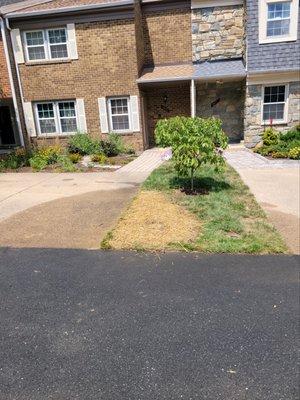 Yard after a water service replacement