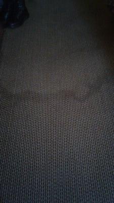 Stained, wet carpet throughout room.