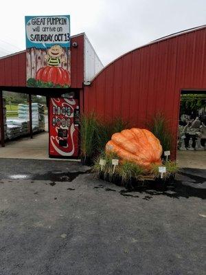 Parks Garden Center