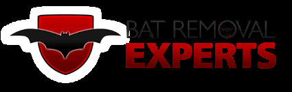 Bat Removal Experts