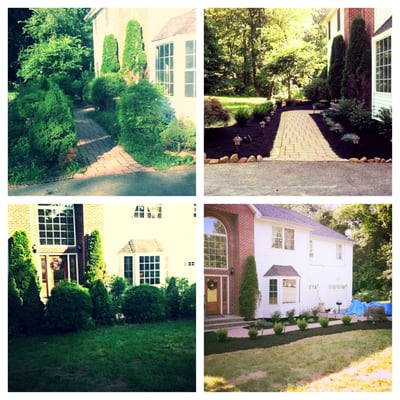 Before and after pictures. Redesigned front landscaping.