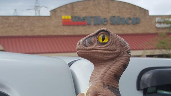 Bob the Raptor Says "I wonder if they mean Reptile Shop."