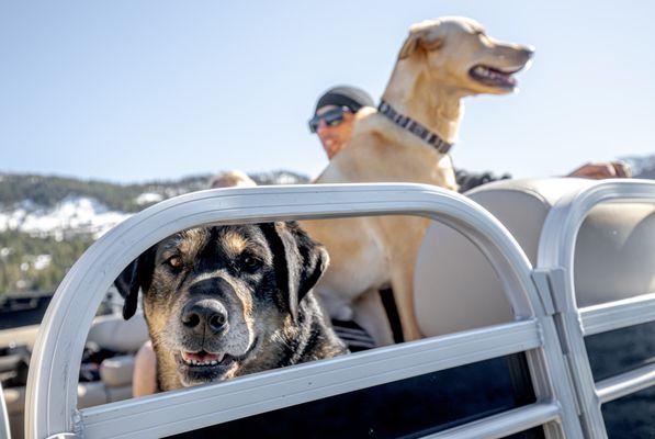 Good Times Boat Rental