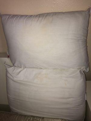 Filthy, disgusting pillows.