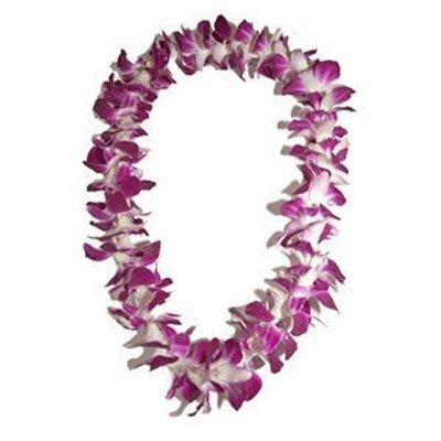 Graduation Lei - Dendrobium Orchid Lei