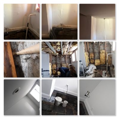 Water Mitigation, Mold Removal and Drywall Repair...