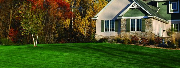 With Lawn Doctors professional service and your proper mowing & watering, you too can have a gorgeous lawn.