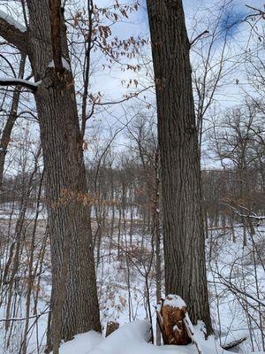 Seven Lakes State Park