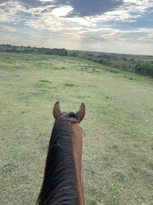 Hope Ranch Therapeutic Riding Center