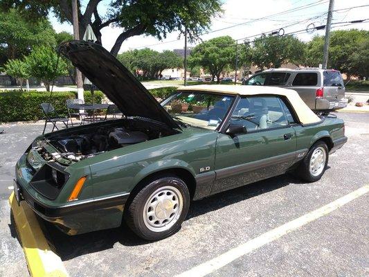 Classic Mustang repaired, completely detailed in and out and maintained at the Shop.