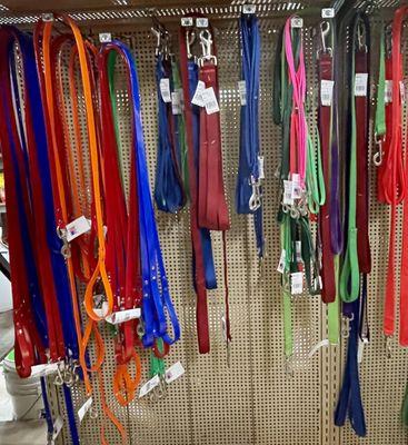 Dog collars and leashes.