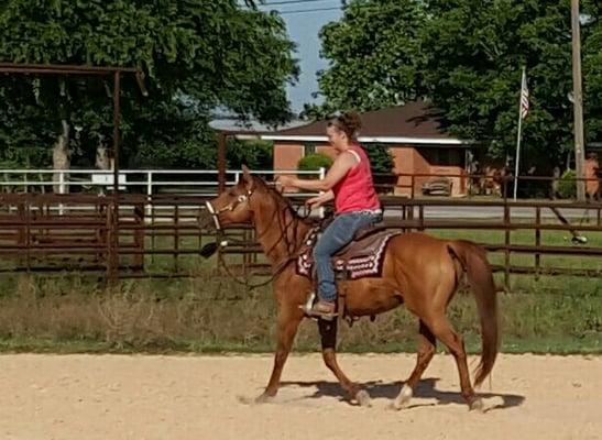 Xtra getting some training. Stallion fee $450