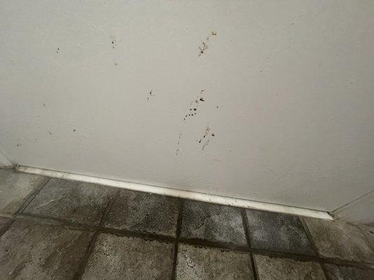 Mystery diarrhea or something on the backside of bathroom door! Cleaning needed!