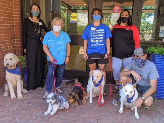 Our Hospice Hounds and their volunteer handlers