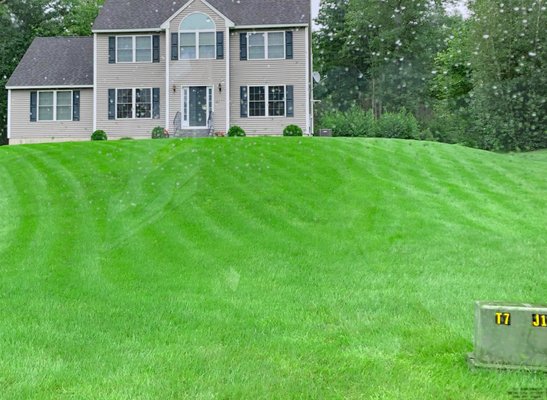 New lawn