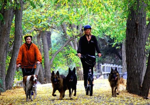 Mushing the Ojai-Ventura bike trail.