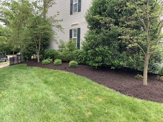 Mulch, edge, & trimming