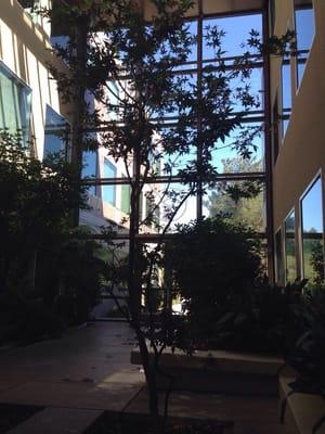 Main entrance to the office building. (From inside)