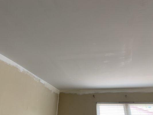 Ceiling finishes and paint