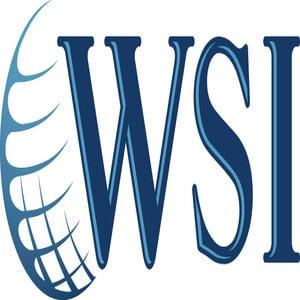 WSI Digital Marketing Experts