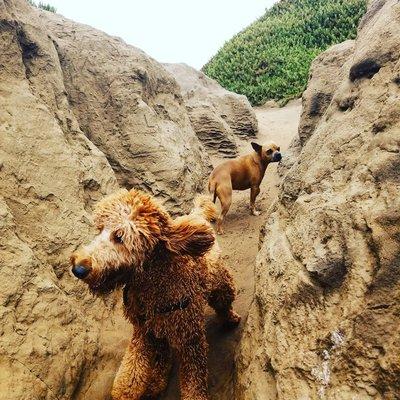 Fun at Fort Funston