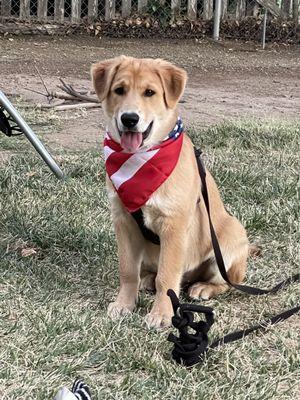 Theodore being the best boy on the 4th of July.