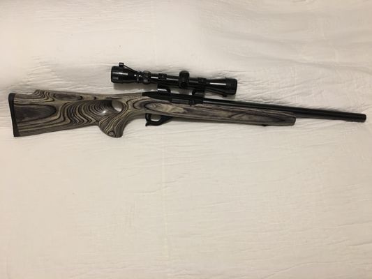 Inlay of new stock and added scope.