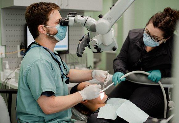 Alexandria Endodontics