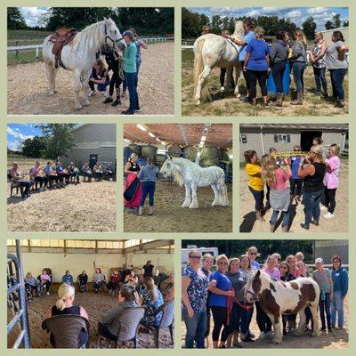 A fun office day of team building and working with horses for a part of this year's staff retreat!