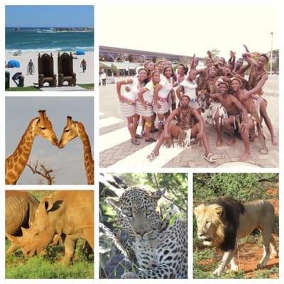 Photos take by Great Expectations Travels tour guide in South Africa