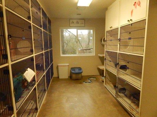 Our Cattery!