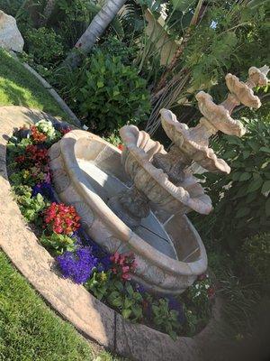 Flowers Around my water fountain