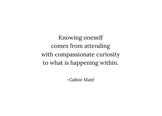 Curiosity is a powerful tool for change and growth.