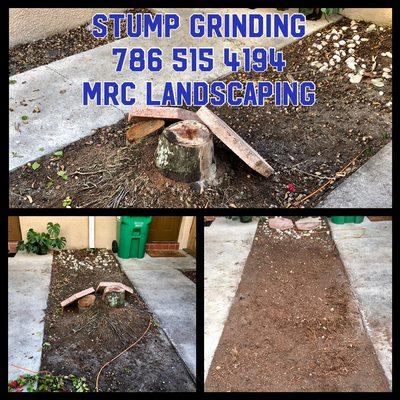 STUMP GRINDING 
TEXT US FOR PRICE 786 515 4194