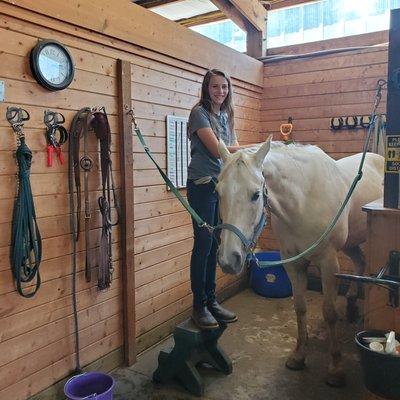 Students learn all about caring for a horse.