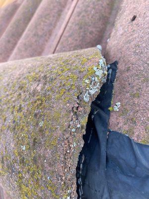 TD roofing inserted black garbage plastic bag to over tile