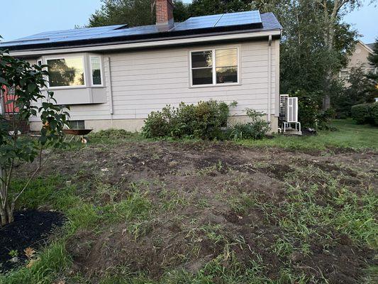 My lumpy weed strewn front yard AFTER this company "landscaped" it.