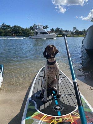 Paddleboard time is the coolest.