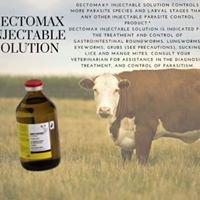 Dectomax Injectable