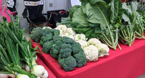 Fresh local fruits and veggies