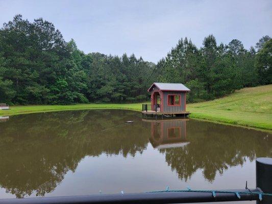 Lovely little pond full of frogs!