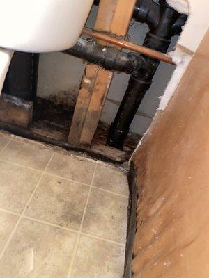 Mold created by neighboring apt flooding