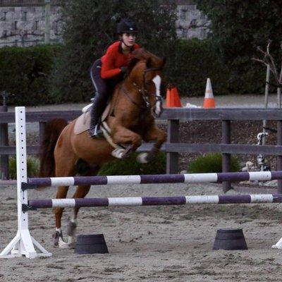 Jump lesson in outdoor arena