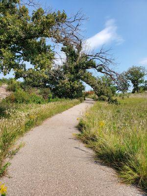 Loop trail