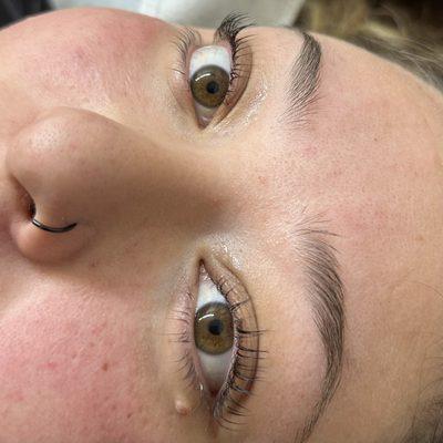 lash lift/tint