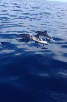 Taken from the boat!