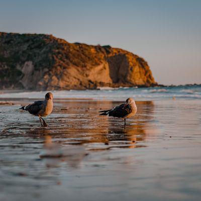 Strands Beach, Dana Point