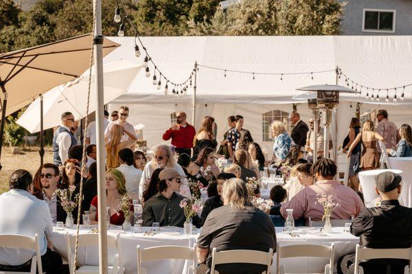 Tent, market lights, umbrella, table, tablecloths (pre ironed!), chairs, and heaters. All rented