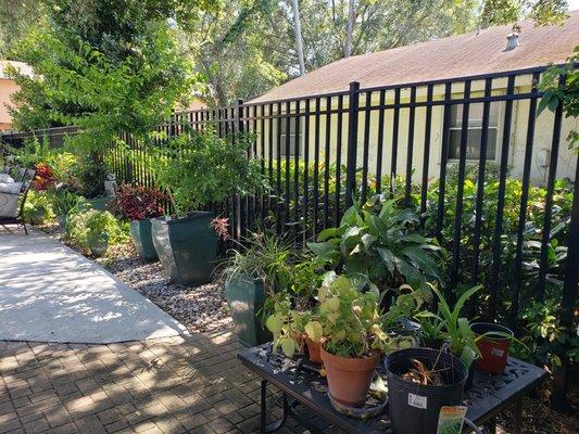 Patio area