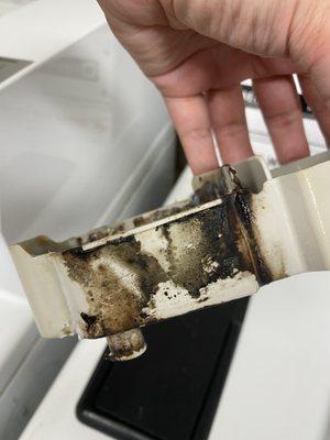 Mold inside the laundry machines detergent tray.